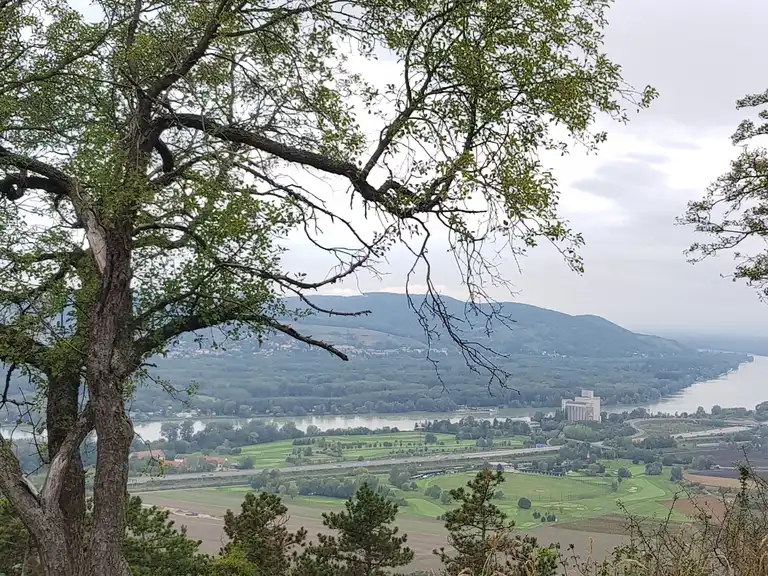 Waldbaden am Bisamberg